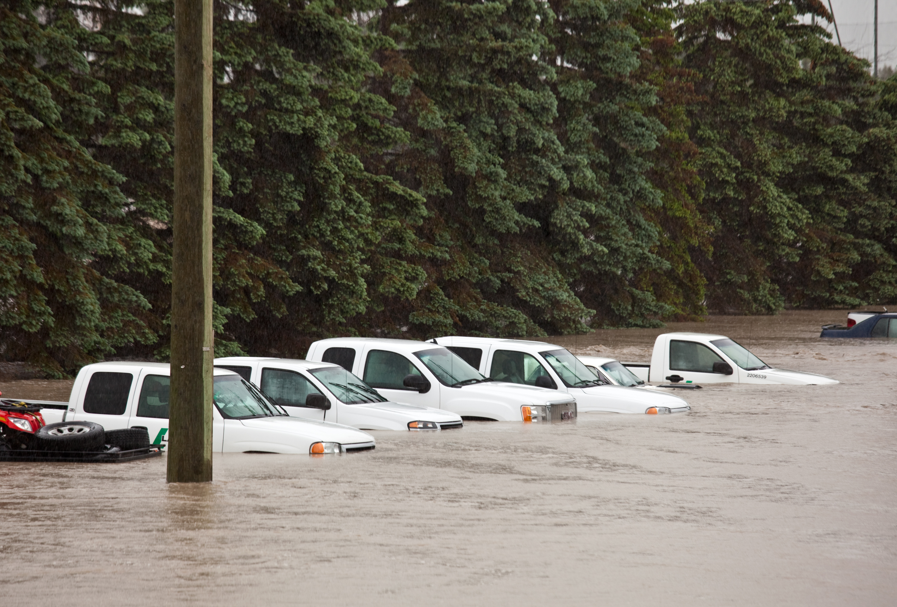 Flooded cars