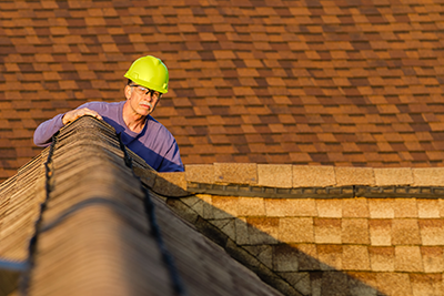 Roof inspector